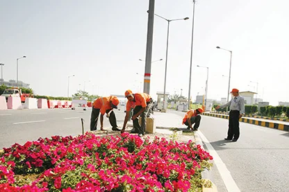 soft landscaping on the road